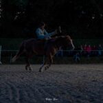 2023-09 - Spectacle équestre au Centre Equestre des Monts d'Or de Lissieu - 02 - Antoine AKA Chien-fou - 043